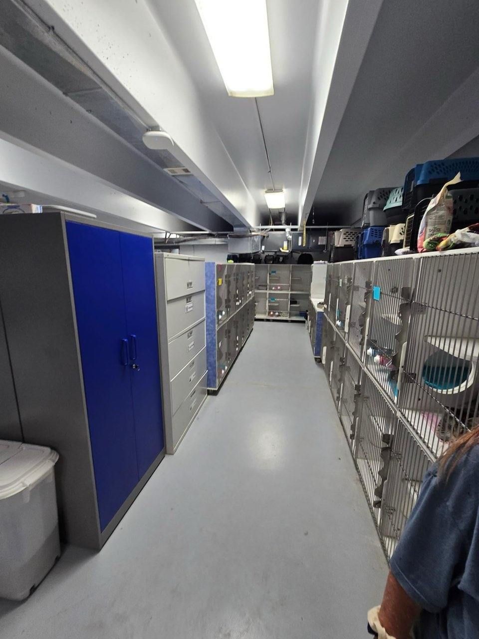 A hallway of climate-controlled cat and small-animal enclosures at the shelter.