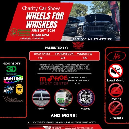 Wheels for Whiskers
