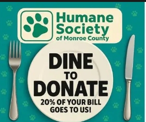 Applebee's Dine to Donate and Vote!